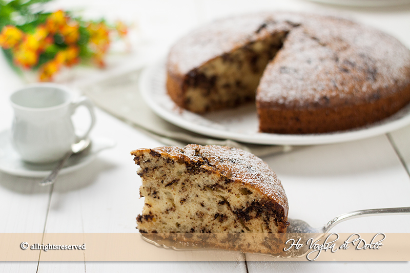 Torta allo yogurt e gocce di cioccolato | Ho Voglia di Dolce