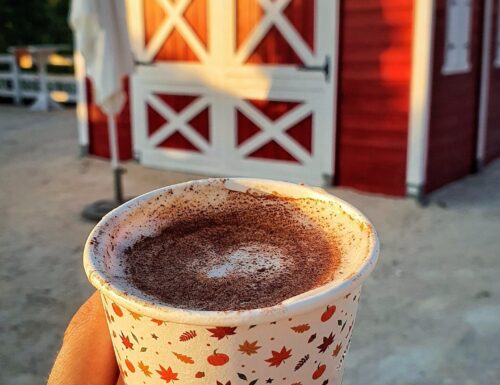 Pumpkin spice latte la bevanda preferita autunnale!