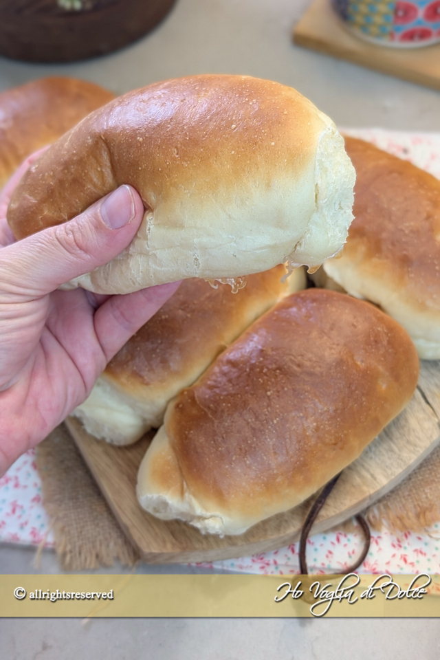 Panini all'olio sofficissimi una ricetta facile, veloce, senza uova e senza lattosio. Fatti in casa con ingredienti semplici